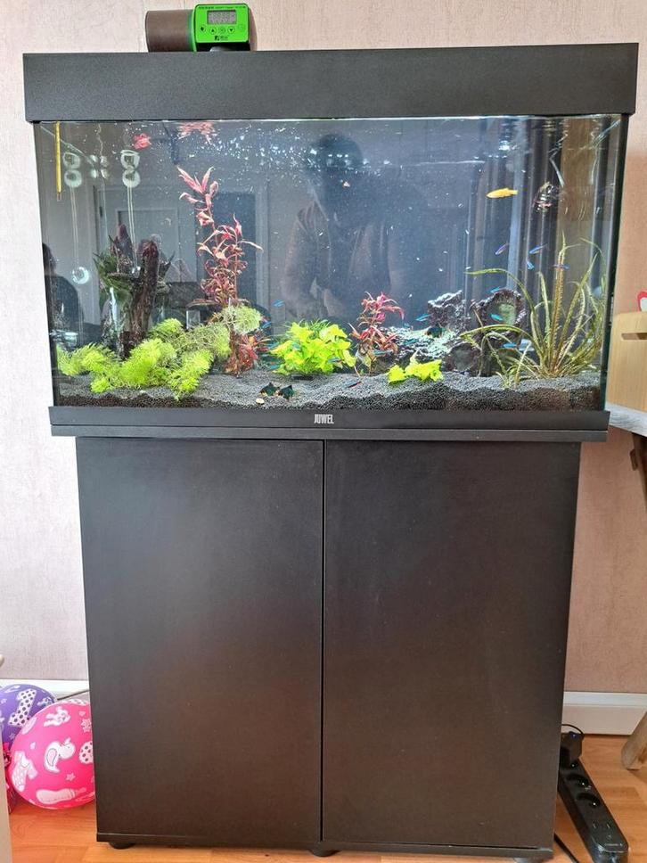Complete aquariumset JUWEL Rio 125 + Eheim + CO₂, Dieren en Toebehoren, Vissen | Aquaria en Toebehoren, Ophalen