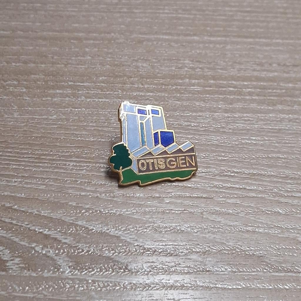 PIN - OTIS - GIEN - FRANKRIJK - LIFTEN, Envoi, Utilisé, Autres sujets/thèmes, Insigne ou Pin's