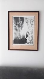 Jan Vaerten, Enlèvement