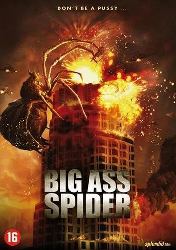 Big Ass Spider! (2013) Dvd, Cd's en Dvd's, Dvd's | Horror, Gebruikt, Monsters, Vanaf 16 jaar, Ophalen of Verzenden