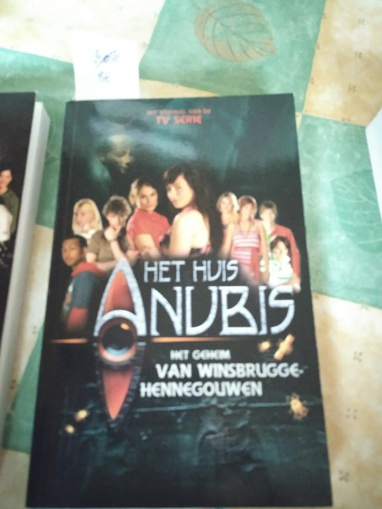 het huis Anubis "het geheim van winsbrugge hennegouwen nieuw, Boeken, Ophalen of Verzenden, Nieuw