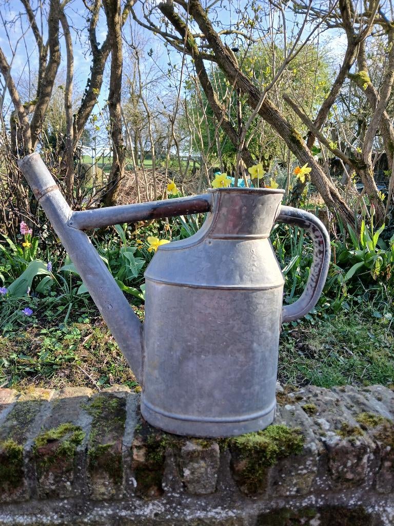 Arrosoirs en Zinc galvanisé, Jardin & Terrasse, Arrosoirs, Enlèvement, Utilisé, Métal