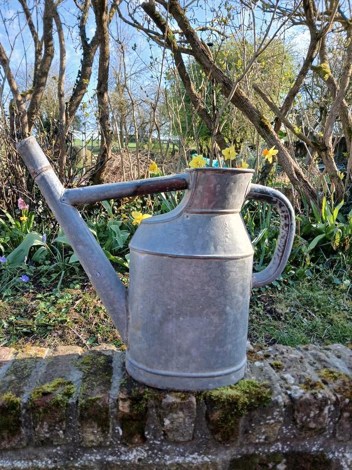 Arrosoirs en Zinc galvanisé, Jardin & Terrasse, Arrosoirs, Utilisé, Métal, Enlèvement