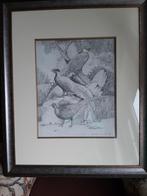 Pentekening, Enlèvement