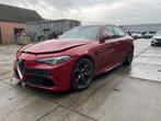 DIVERSEN Carrosserie (compleet) Giulia (952) (|6000630063|), Gebruikt, Alfa Romeo