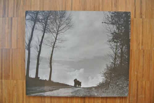 Vintage zwart-wit foto op hout - Zellik, Maison & Meubles, Accessoires pour la Maison | Peintures, Dessins & Photos, Comme neuf