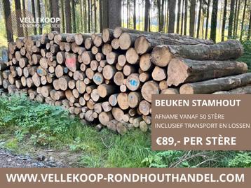 Beukenstammen | volle vracht stamhout | ca. 50 stère beschikbaar voor biedingen