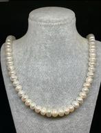 ketting met echte parels 45 cm, Wit, Nieuw, Ophalen of Verzenden, Met edelsteen
