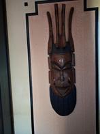 Collection d'Indiens et de chamans, Enlèvement