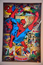 Poster Spiderman, Ophalen of Verzenden, Zo goed als nieuw