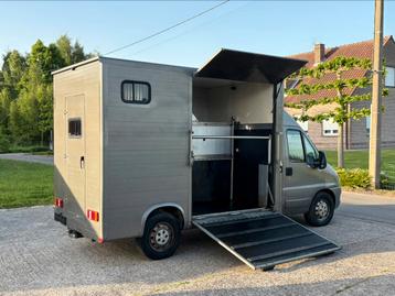 Citroën Jumper 2.8D Paardencamionette Horses 2006 beschikbaar voor biedingen