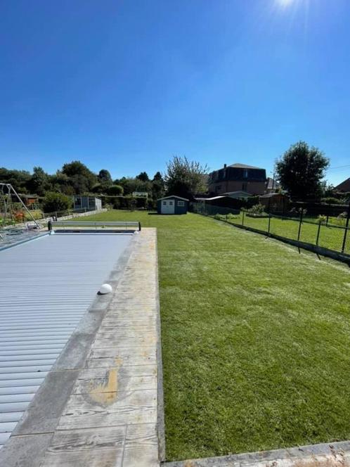 gazon en rouleaux avec pose, Tuin en Terras, Gras en Kunstgras, Nieuw, Gras, 20 m² of meer, Ophalen