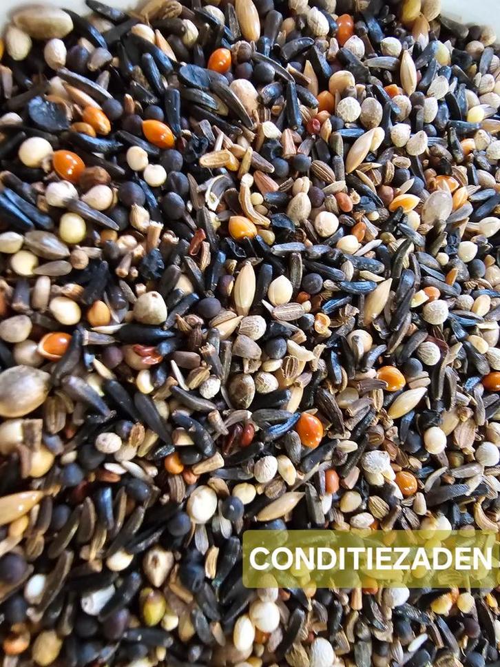 Condition des graines 1kg (216) - Hobbyfarm Hoebregts, Animaux & Accessoires, Oiseaux | Accessoires, Enlèvement