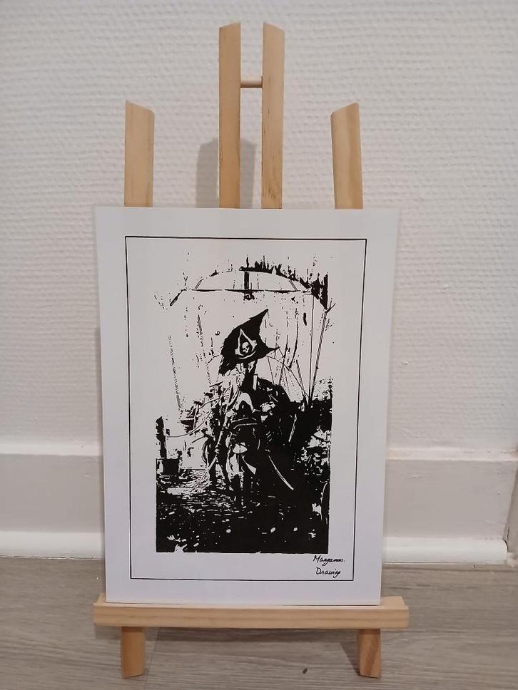 Affiche met zwarte vlag van Assassin's Creed, Antiek en Kunst, Kunst | Tekeningen en Fotografie, Ophalen of Verzenden