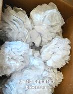 Gratis af te halen doos met witte papieren bloemen voor trou, Vêtements | Femmes, Vêtements de mariage & Accessoires de mariage