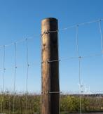 Weidepalen, Paal, Palen, Dura2, Omheining, Afrastering, Weidegang