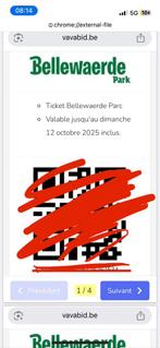 4 tickets d’entrée pour Bellewaerde, Drie personen of meer
