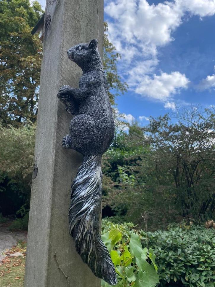 Beeld eekhoorn, tuin, zwembad, vijver, woonkamer 60cm, Tuin en Terras, Tuinbeelden, Nieuw, Dierenbeeld, Kunststof, Ophalen of Verzenden