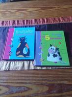 2 knutselboeken, Boeken, Hobby en Vrije tijd, Ophalen of Verzenden, Zo goed als nieuw, Casterman, Overige onderwerpen