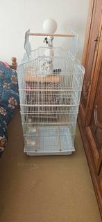 Te koop 2 witte vogelkooien 2 stuks in temse 0497070141, Dieren en Toebehoren, Ophalen, Zo goed als nieuw