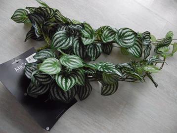 namaak planten beschikbaar voor biedingen