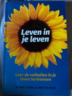 J. Young - Leven in je leven, Boeken, J. Young; J. Klosko, Ophalen of Verzenden, Zo goed als nieuw, Cognitieve psychologie