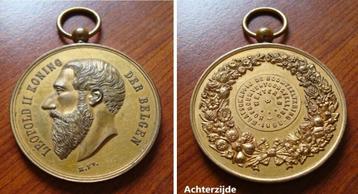 Medaille Hofbouwtentoonstelling Wetteren 1898