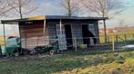 stal/container, Stalling, 2 of 3 paarden of pony's