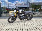 Royal Enfield 650 Bear, Motoren, 2 cilinders, Bedrijf, Overig, Minimaal motorrijbewijs A2