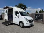 BARBOT | PAARDENWAGEN | 2019 | RENAULT MASTER | STALLION 3XL, Dieren en Toebehoren, Paarden en Pony's | Trailers en Aanhangwagens