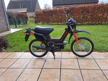 A vendre Yamaha sting 50