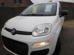 FIAT PANDA 1242 CC BENZINE  51 KW EURO 6B 2016, Auto's, Fiat, Te koop, Stadsauto, Benzine, 1242 cc