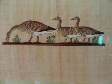 Gekleurde ganzenpapyrus  beschikbaar voor biedingen