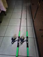 2 hengels 360cm voor karp snoek snoekbaars, Ophalen