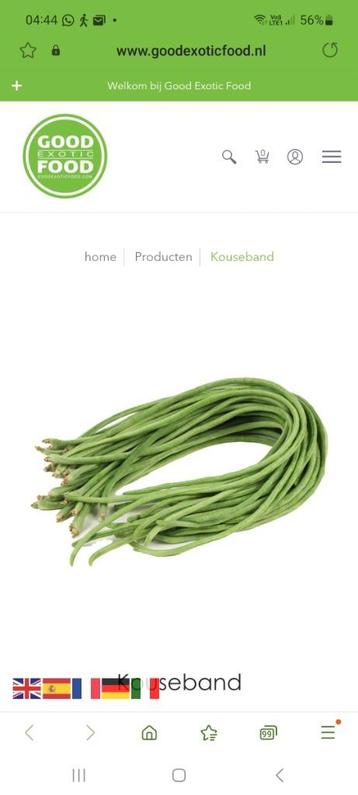 Kousenband bonen beschikbaar voor biedingen