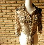 blouse femme t.36 brune - coolcat - 24 -, Vêtements | Femmes, Blouses & Tuniques, Comme neuf, Taille 36 (S), Brun, Enlèvement ou Envoi