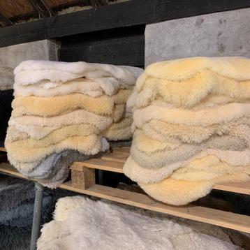 ORIGINELE LAMSVACHTEN NU 2 stuks 45 EURO beschikbaar voor biedingen