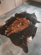 Stier op koeienhuid, Ophalen of Verzenden