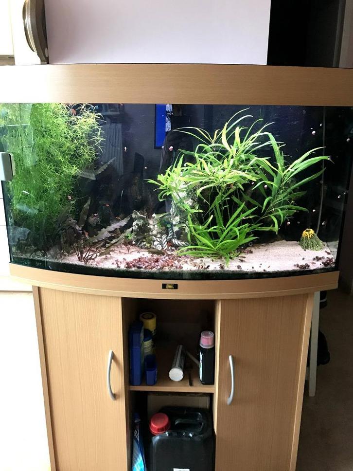 aquarium juwel, Dieren en Toebehoren, Vissen | Aquaria en Toebehoren, Gebruikt, Gevuld zoetwateraquarium, Ophalen