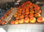 Pompoenen & butternuts, Diversen, Ophalen