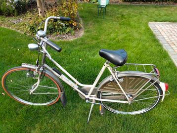 Oudere gazelle perfect in orde lees beschrijving  beschikbaar voor biedingen