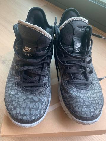 Nike LeBron sneakers 42.5 beschikbaar voor biedingen