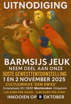 Tentoonstelling de barmsijs jeuk, Dieren en Toebehoren, Meerdere dieren, Geringd