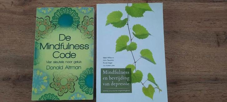 Mindfulness/ 2 boeken à €5 per stuk, samen kopen voor €8, Livres, Ésotérisme & Spiritualité, Comme neuf, Arrière-plan et information