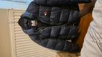 Tommy hilfiger  winterjas, Ophalen of Verzenden, Zo goed als nieuw