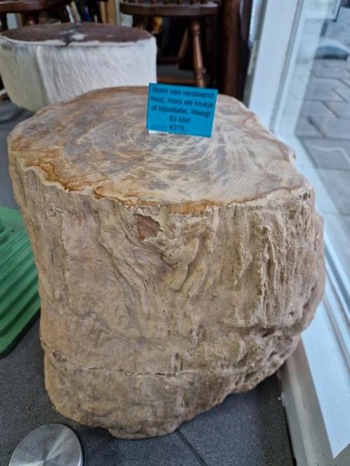 Versteend houten stam van 83 kilo!, Verzamelen, Mineralen en Fossielen, Ophalen