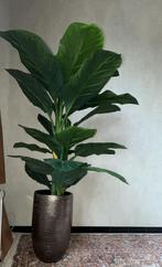 Grote vaas + plant, Huis en Inrichting, Ophalen, Zo goed als nieuw, Binnen