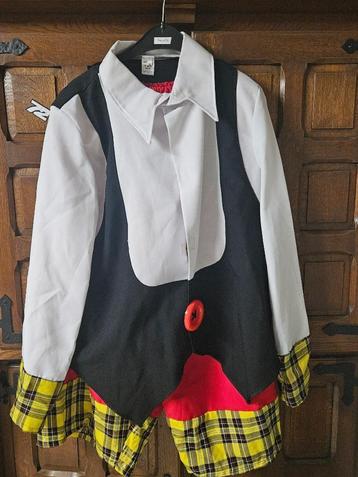Clownkostuum – Inclusief hoed, jas en broek!  beschikbaar voor biedingen