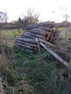 Hout te koop, Tuin en Terras, Brandhout, Ophalen, Overige houtsoorten, Stammen