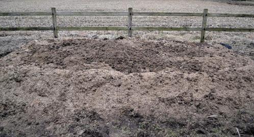 Paardenmest gratis te Schriek. Super kwaliteit, Tuin en Terras, Aarde en Mest, Mest, Ophalen